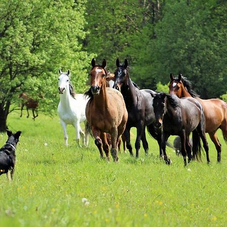 Domek Kozacki Lukowe Bagian luar foto
