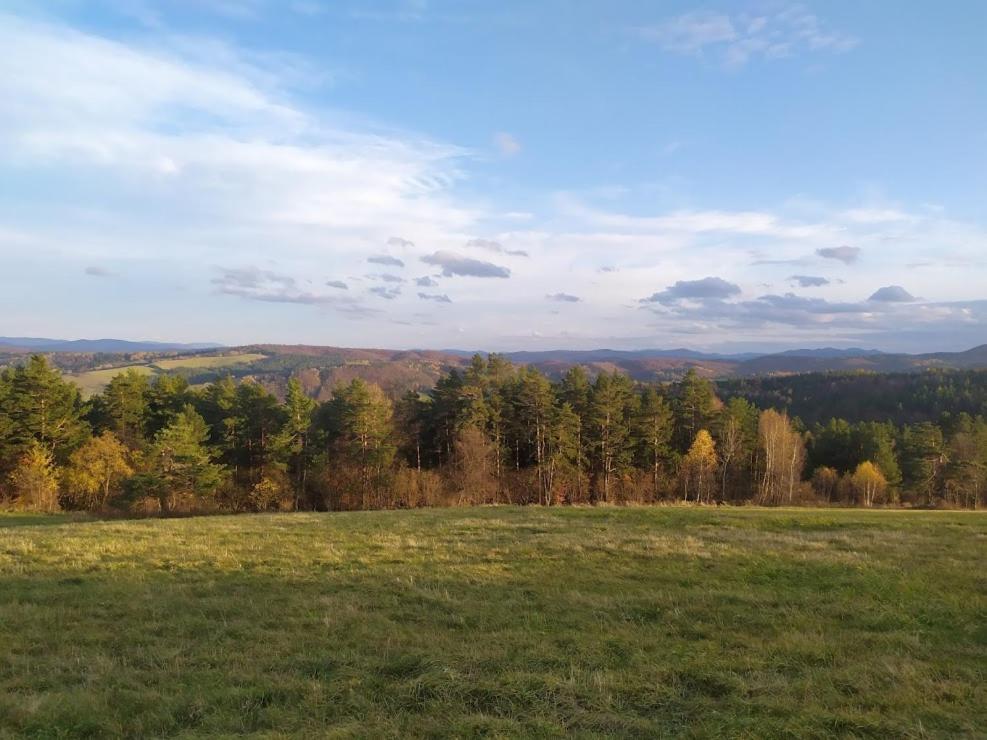 Domek Kozacki Lukowe Bagian luar foto
