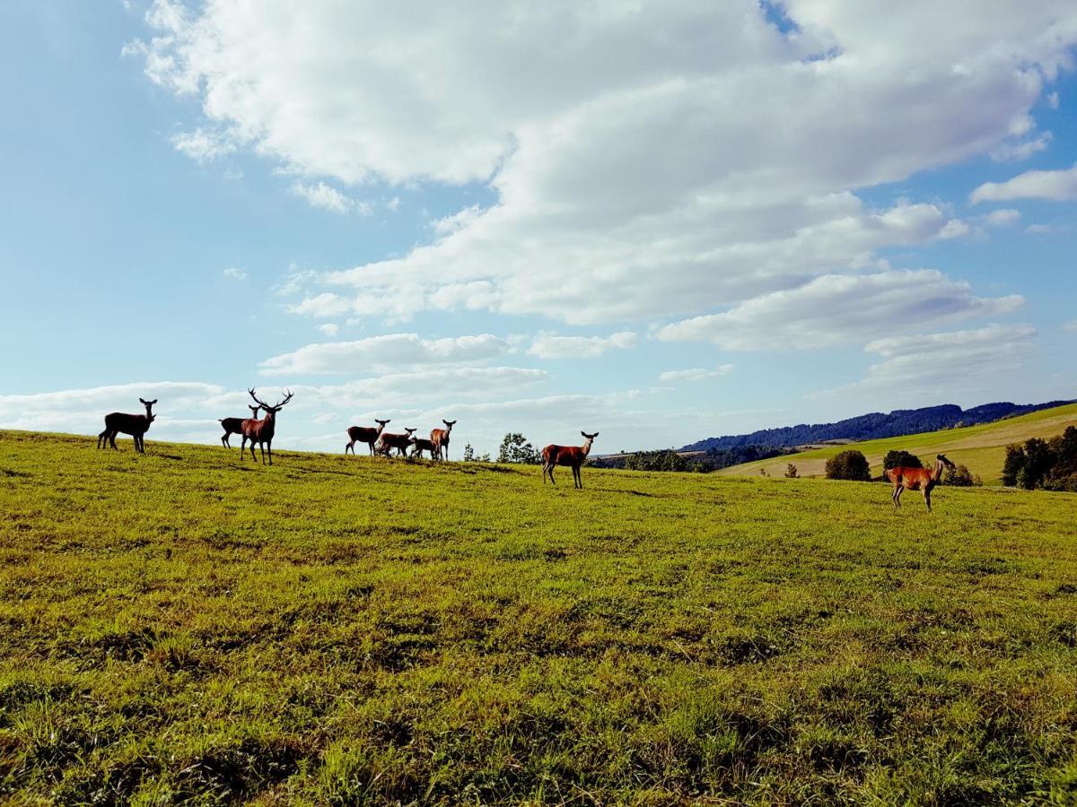 Domek Kozacki Lukowe Bagian luar foto